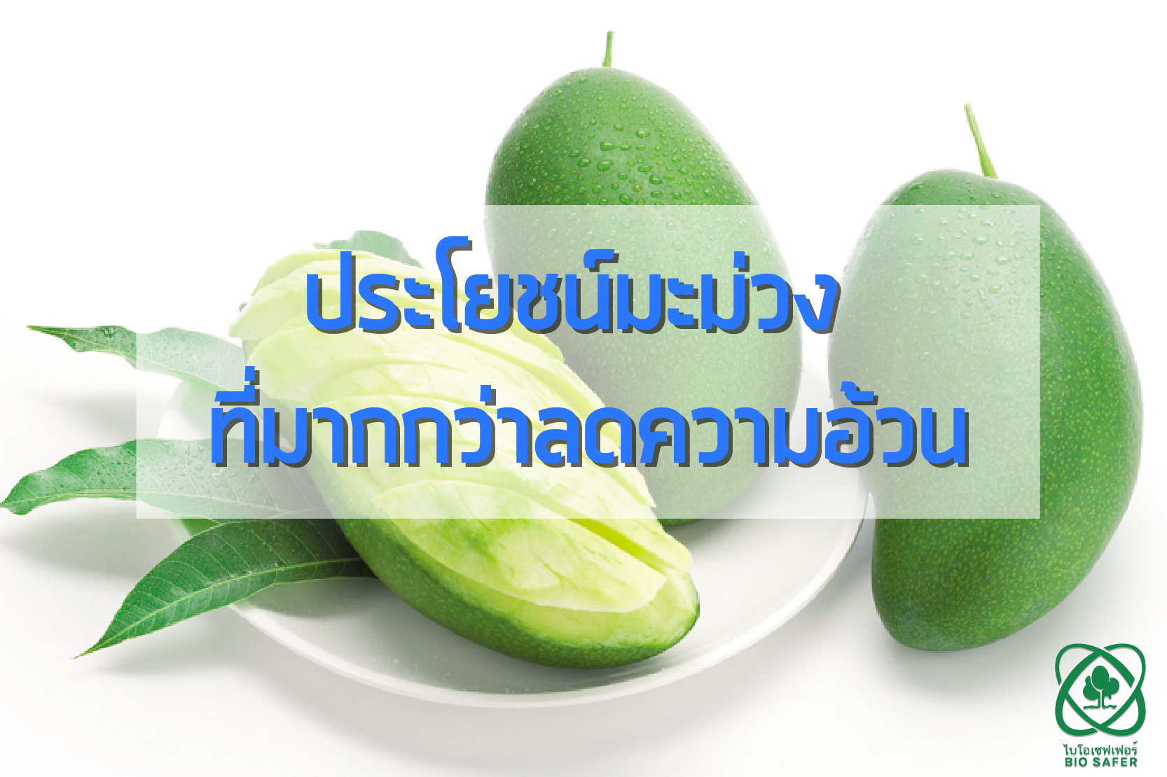 ประโยชน์มะม่วง ที่มาก กว่าลดความอ้วน