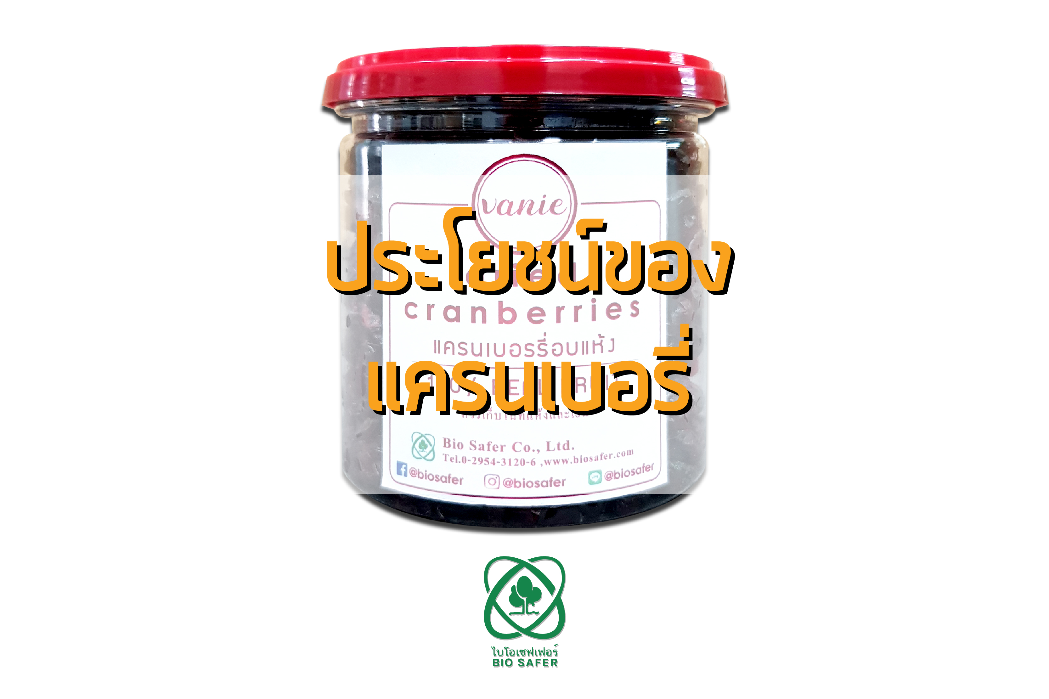 ประโยชน์ของแครนเบอรี่