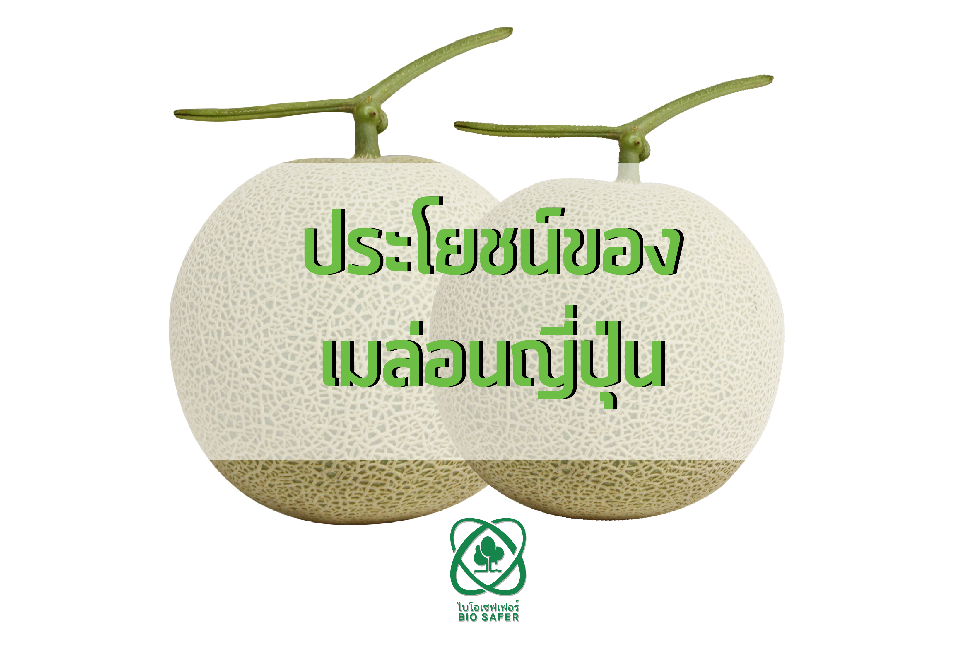 ประโยชน์ของเมล่อนญี่ปุ่น