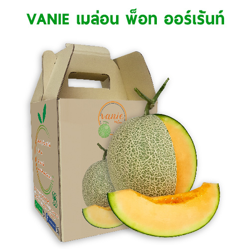 VANIE เมล่อน พ็อท ออร์เร้นท์ 